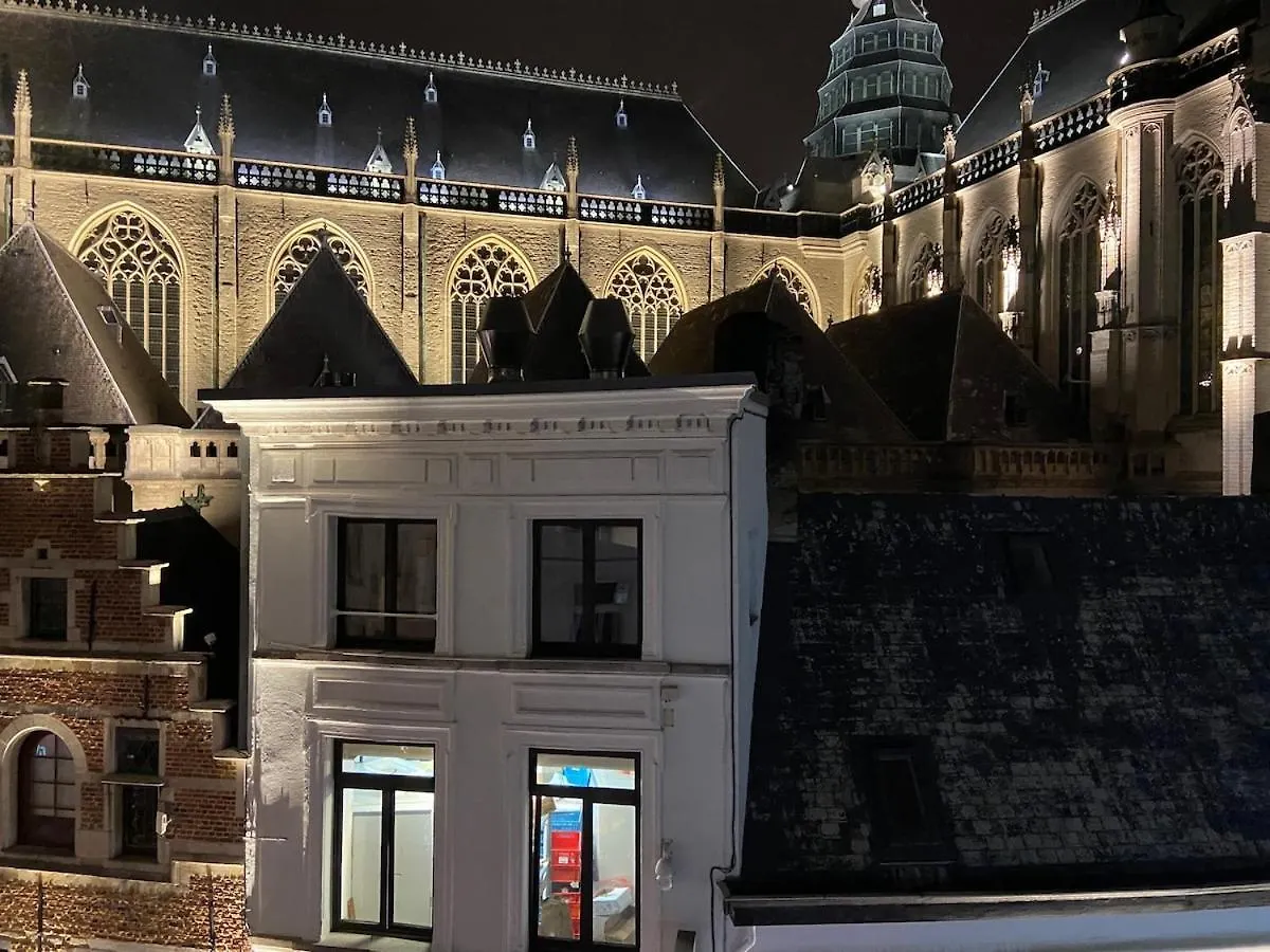 Cozy Central Apartment With Cathedral View On The 3Rd Floor Antwerp